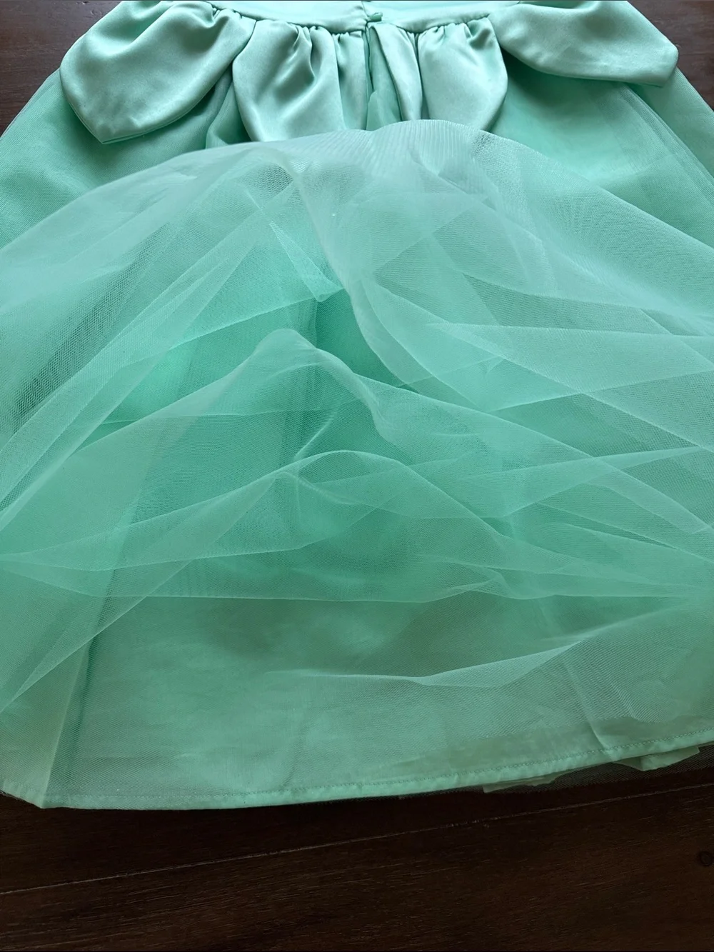 NWOT Sz 10 Disney X Janie and Jack Tiana tulle princess dress